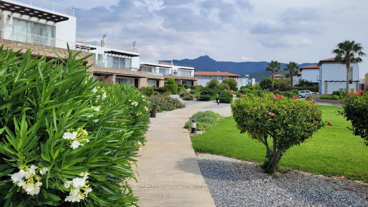 Sea And Mountain View Beachfront Penthouse Yali Екстериор снимка