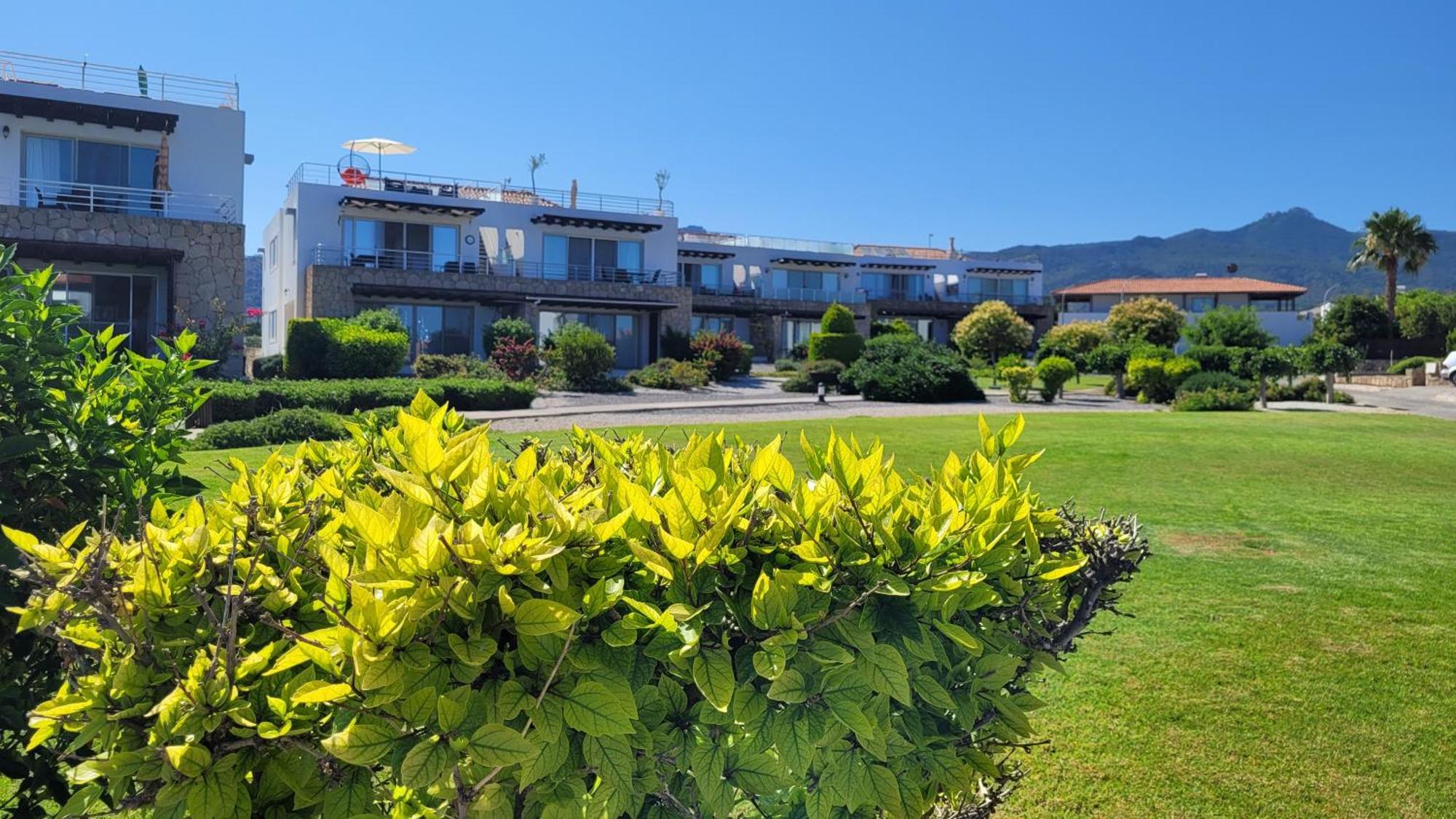 Sea And Mountain View Beachfront Penthouse Yali Екстериор снимка